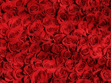 [제노스 드림] 기생