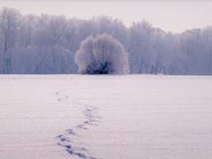 겨울에 태어난 아이