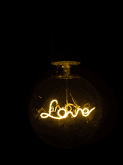 내가 하는 사랑