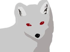 100일 챌린지 (13)