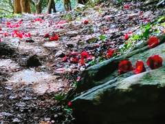 나의 환자 / 32화