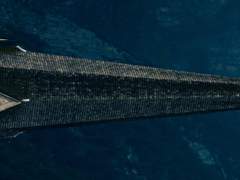 칼은 구조적 불행의 평범성을 전시하는 무대에 섰다.