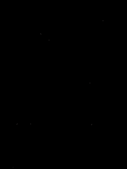 하라주쿠 팬데믹