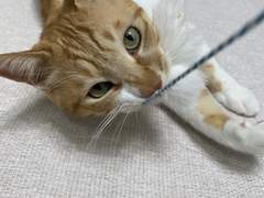 확진자 퇴원 및 예민한 환자 간호