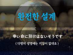 [완전한 설계][다행히 생명엔 지장이 없어요]