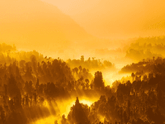 <엑스트라 GM님은 오늘도 야근한다> 리디북스 런칭!