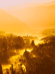 엑스트라 GM님은 오늘도 야근한다