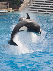 [뜰팁 팬소설] 사후세계