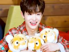 트레저 박지훈 애정운 풀이