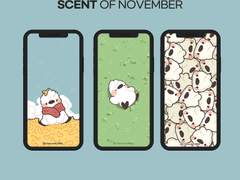 몽몽스베쮸 배경화면 공유