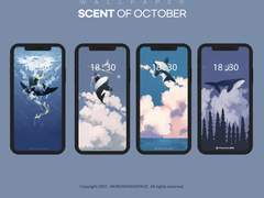 몽몽스베쮸 배경화면 공유