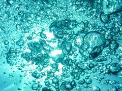 네모 클라이스트, 30, Cetus, O