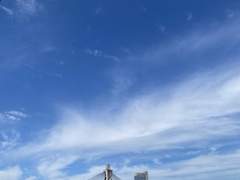 고려대학교병원 자소서