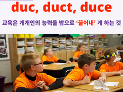 duc, duct, duce
