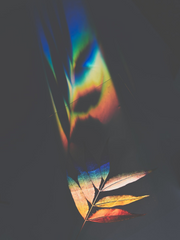 Pentaprism(ペンタプリズム, 펜타 프리즘) 