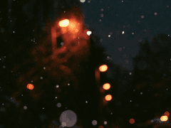 02. 바보같은 건 질색이야.