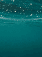 어두운 바다의 등불이 되어