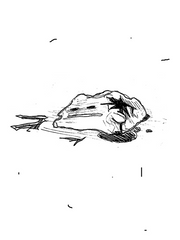 메타몽에 관한 간단한 고찰