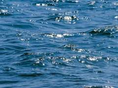 *공지* 아름의 미학