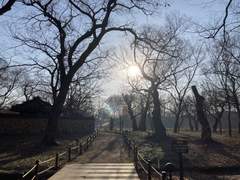 경주에서 있었던 일들(중 남기고 싶은 것)-2