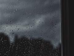 새벽에 비 맞고 집에 감