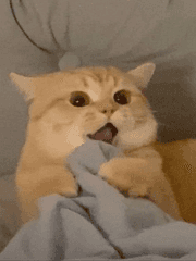 센가물에빙의했더니(별)갑분사방신