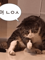 C급 가이드가 S급 센티넬 이겨먹기,뭘로?춤으로ㅋ