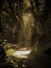 고백은 구원이 아니야 