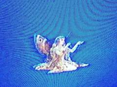 이게 대체 무슨 일이냔 말이다.