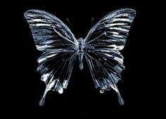 When we are here, Slytherin. 02