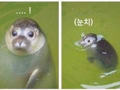 신년맞이 왈소리