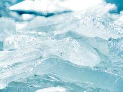 [프로메어/갈로리오] 친애하는 나이트메어(8)