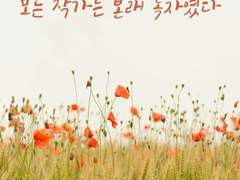 독자로서의 작가