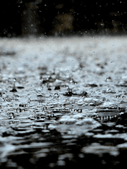 비(非)사랑, 비(悲)사랑