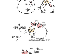 [엔데호크] 햄스터 엔호 2탄