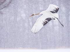 청구야담/조윤희] 무제