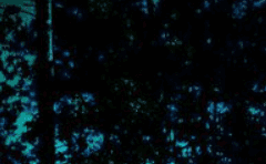 조각조각 끼워 맞춘 곰인형