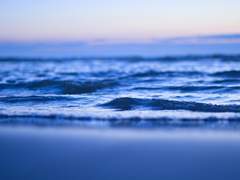 [청우배세] 뱀파이어 썰