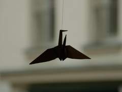 라이너 캐러웨이