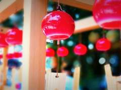 그거 알고 있나? 여우가 나타나는 곳엔 어김없이 비가 온다네.