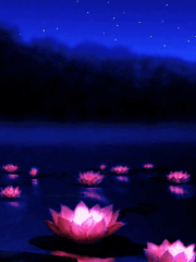 아름다운 마지막을 위해