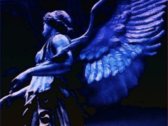 벨루테 아카데미아