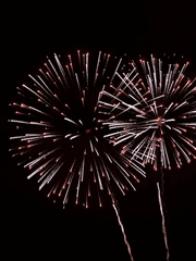 [섣차고] 모임 소설