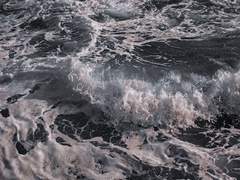 영원토록 반추할 나의 노스탤지어에게