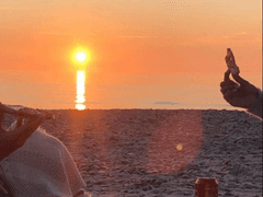 캘리포니아 써니사이드업 A