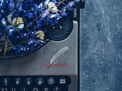 푸른 독초 BLUE VENOM 06