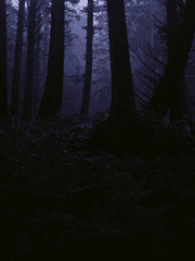 달이 흘러 내리던 밤