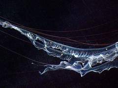 이 소월 | xx | 23