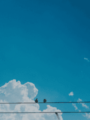 카르엔 R. 해럴드