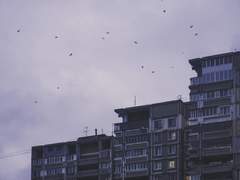 [옥케이] 낙원의 끝 上